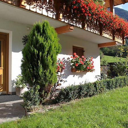 Apartament Haus Kofler Casateia Zewnętrze zdjęcie